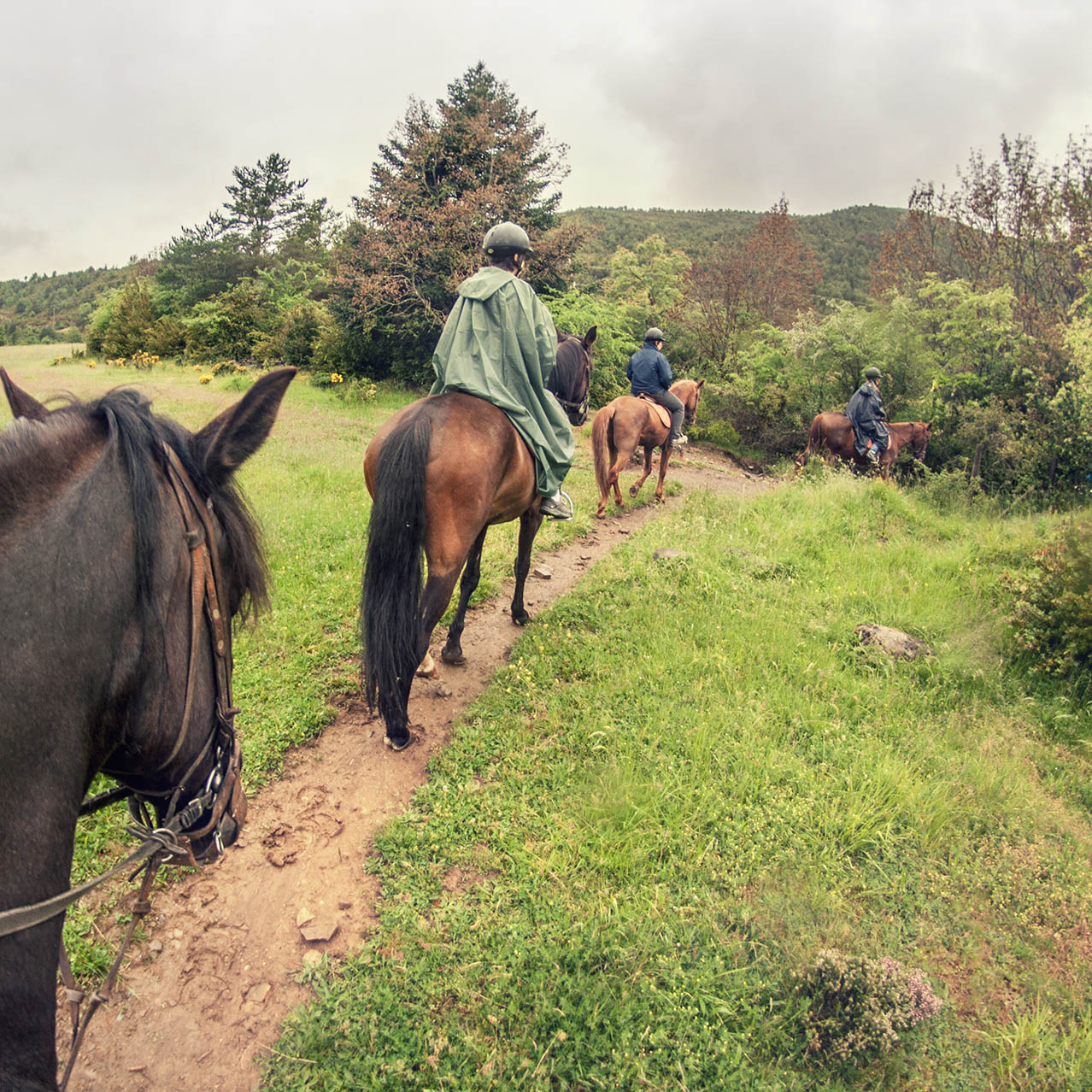 Cabalgata_AFZ_(8990996856) copia