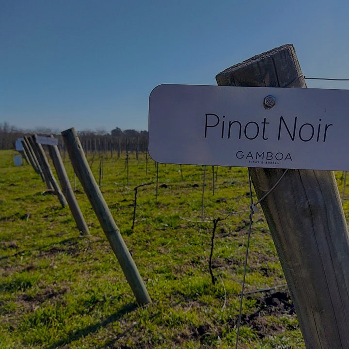 Vinomanos_IMG_20220903_154900049_HDR