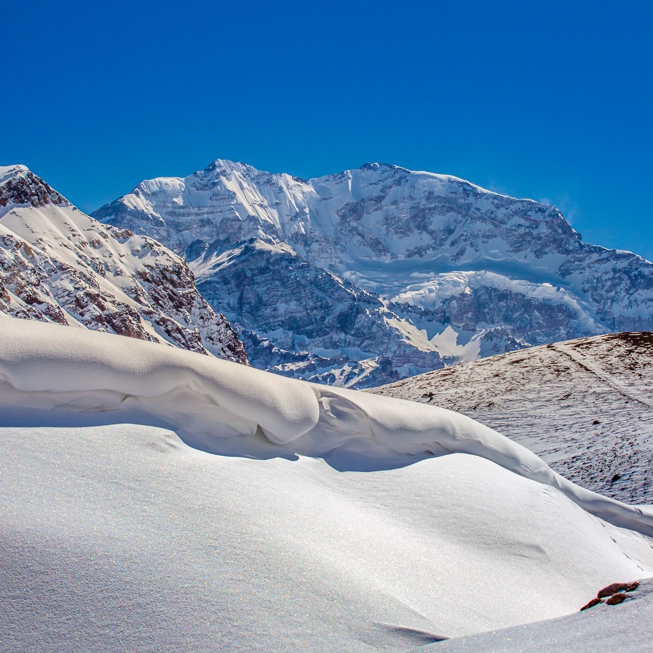 categorias web_0003_alta 1