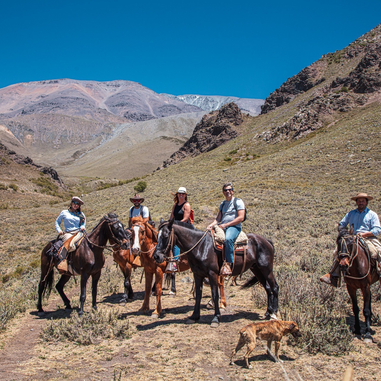 categorias web_0011_Cabalgata 1