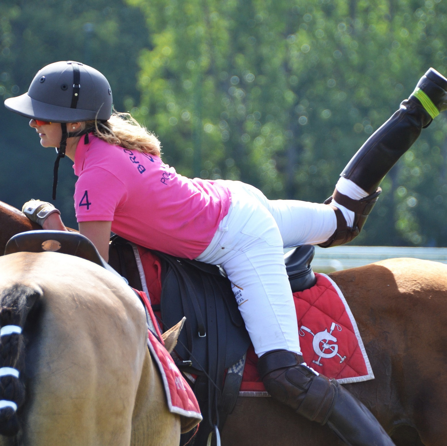 polo-2669762_1920 copia